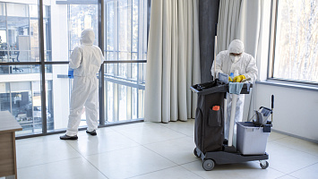 Domestic Cleaning Businesses for sale in Al Ghadeer 240656