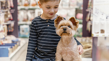 Pet Shops for sale in Dubai Marina 240527