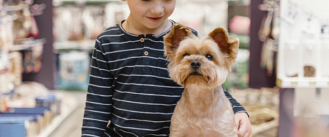 Pet Shops for sale in Dubai Marina 240527