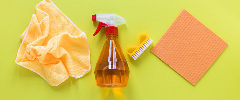 Domestic Cleaning Businesses for sale in Bur Dubai 254074