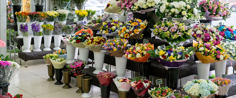 Florists for sale in Dubai Science Park 215611
