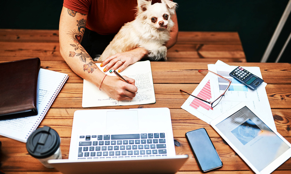 ROI 22%-30% Investment - Pets Service Based Business - Seeking Investors 1