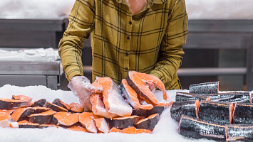 Fishmonger Businesses for sale in Ajman City 240522